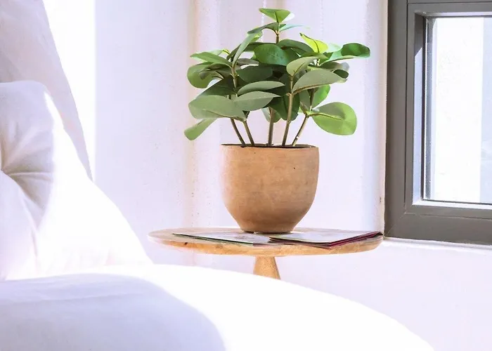 Exclusivo Loft A Pasos Del Zócalo No Lo Pierdas Apartamento México DF